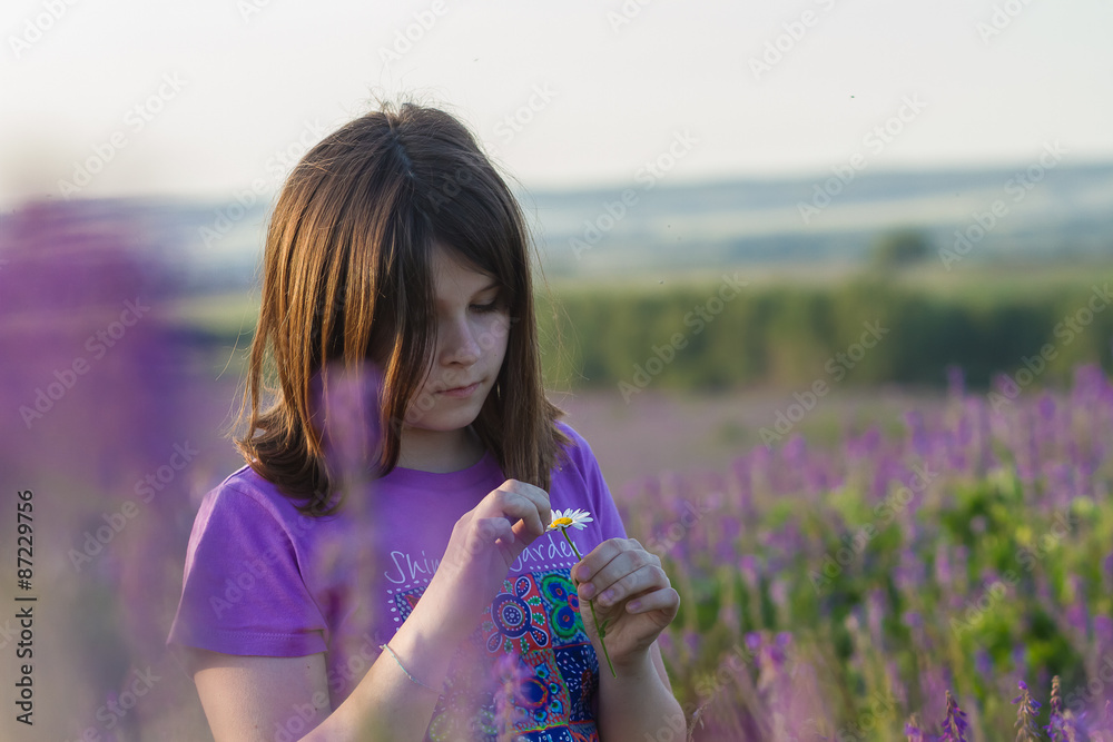Fototapeta premium Cute little girl with a camomile in the hands among purple flowers on the field