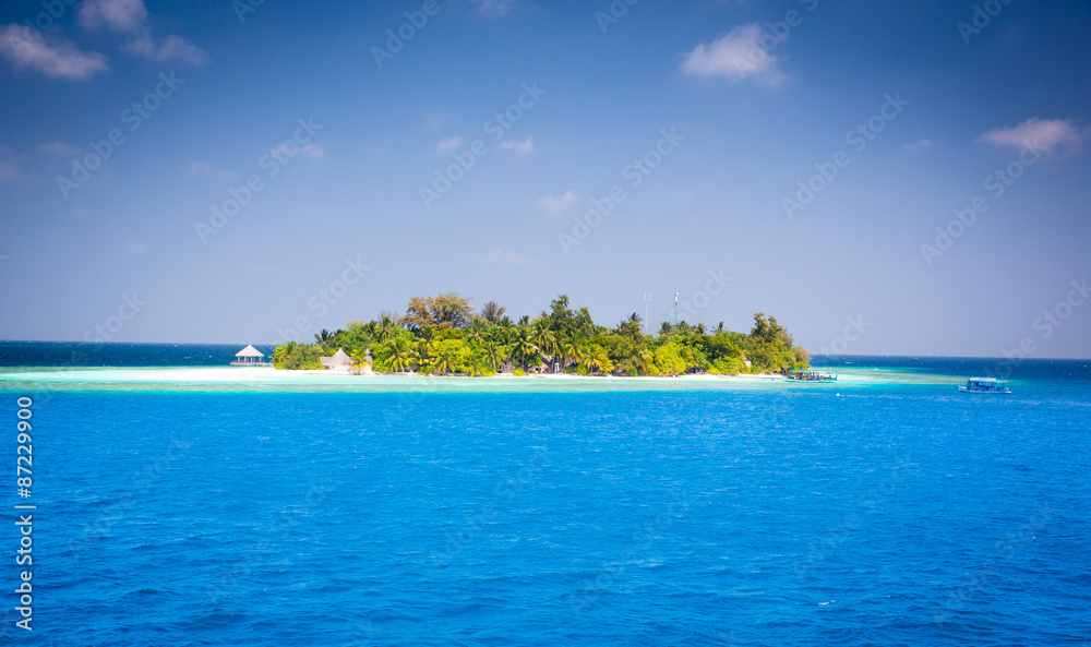 view on a lonely island with palm trees in the Indian Ocean , Maldives