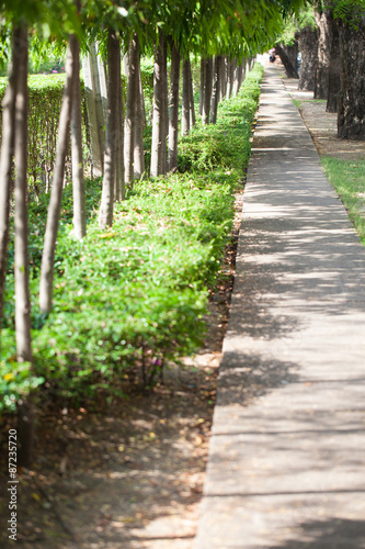 Garden Walkway