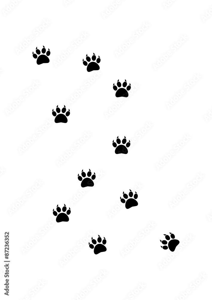 Animal leave a trail - Silhouette Vector