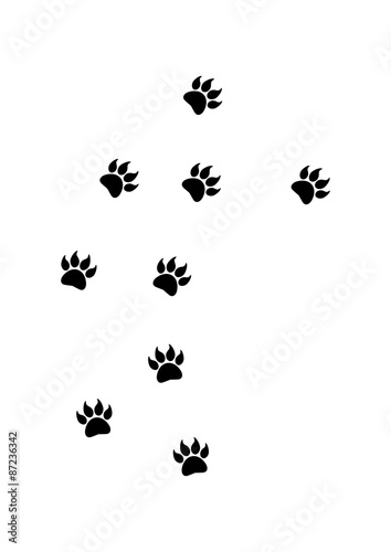 Paw Claw as a trail - Vector