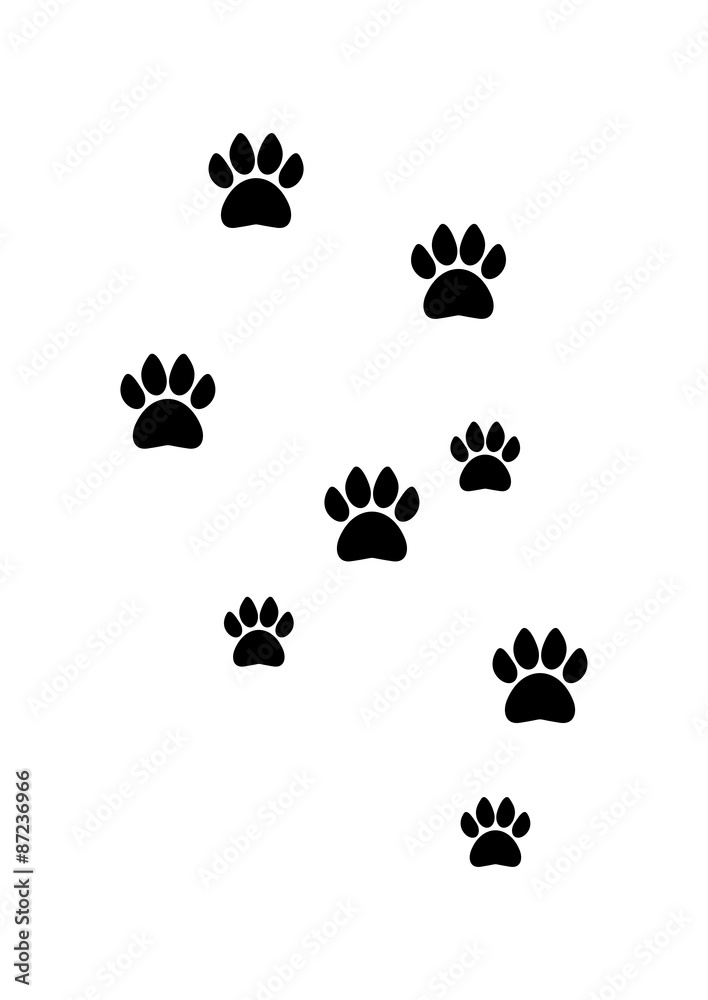 Fototapeta premium Animal Footprint Vector