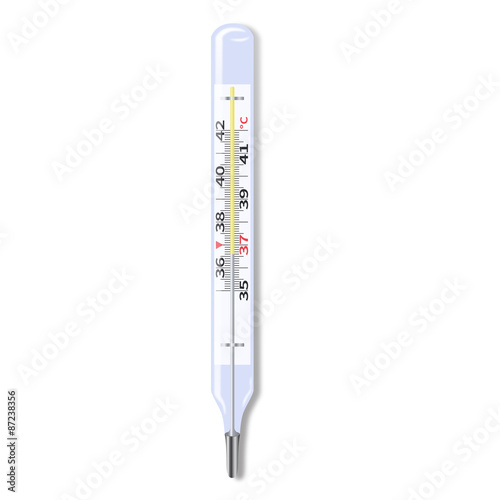 Medical Thermometer. Glass mercury thermometer. Isolated. Vector Image.