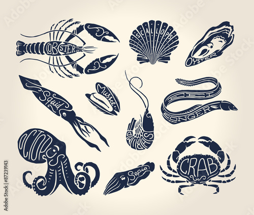 Vintage illustration of crustaceans, seashells and cephalopods with names