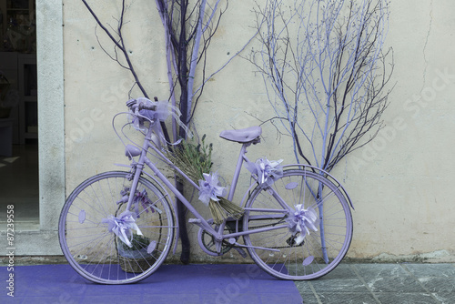 Bicicletta colore lilla