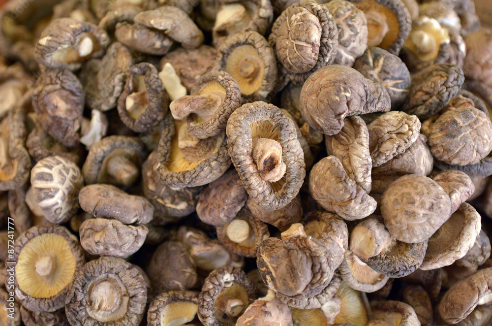 Chinese black mushrooms - shiitake Chinese black mushrooms - shiitake