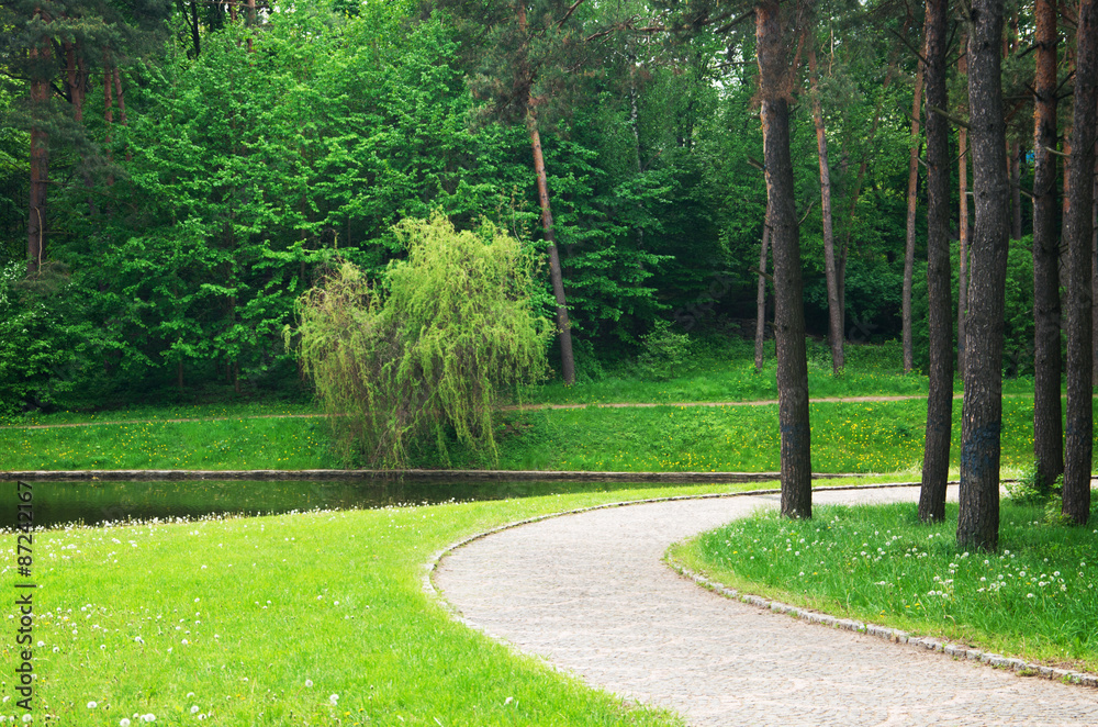 Obraz premium path through the park