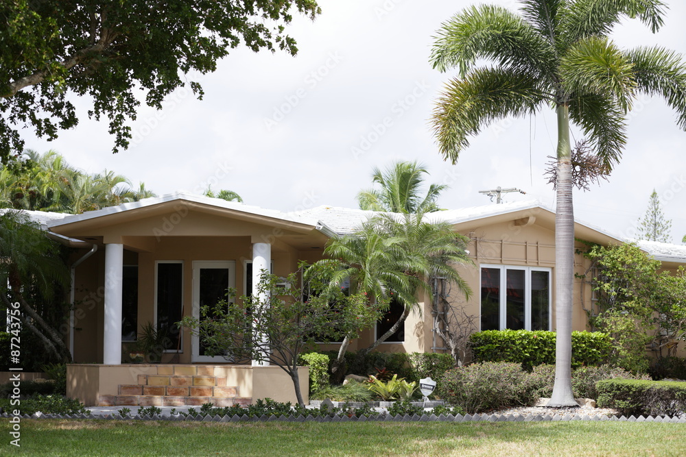 Fototapeta premium Generic single family home
