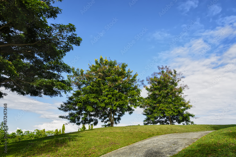 Golf Cart Path