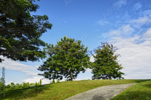 Golf Cart Path