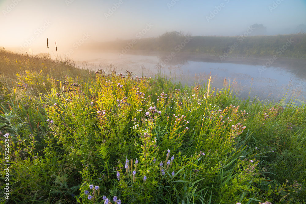 Fantastic foggy river with fresh green grass in the sunny beams.