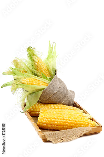 Fresh corn on the cob.
