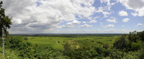 Panoramafoto - Blick auf die deutsche Weinstra  e bei Neustadt