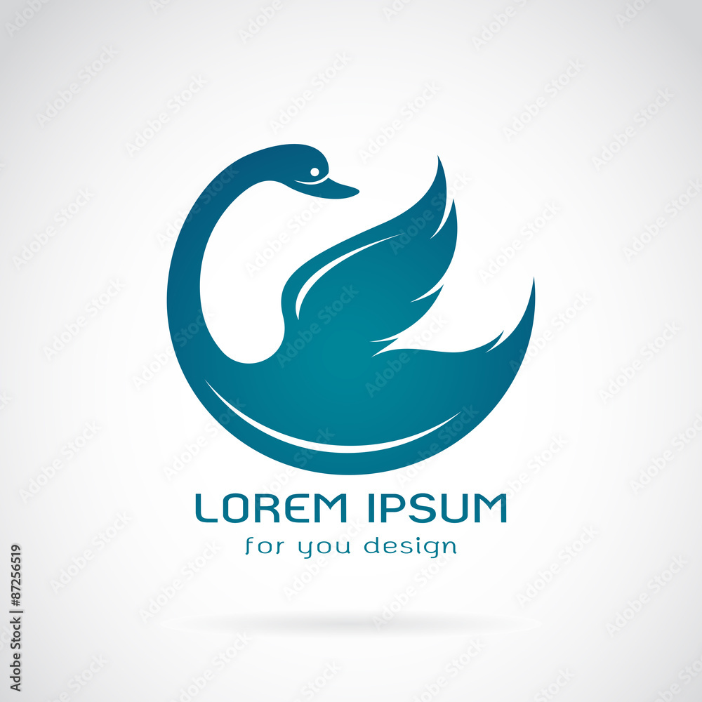 Fototapeta premium Vector image of swan design on a white background.