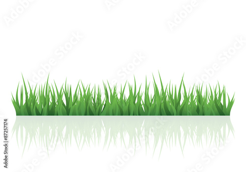 Vector green grass for your project