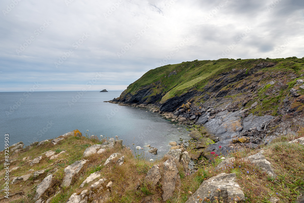 Cliffs above Portloe in Cornwall