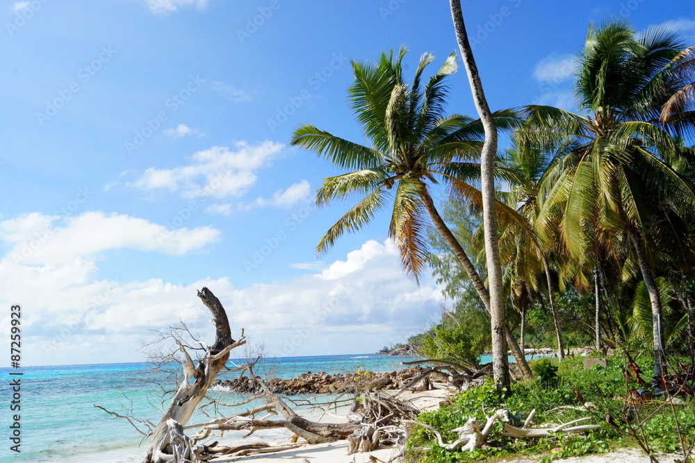 Obraz premium Sandstrand im Paradies im indischen Ozean