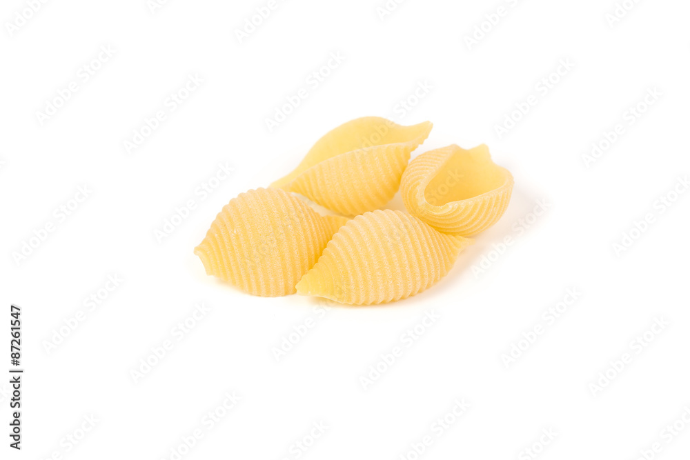 conchiglie pasta shell conchiglie pasta shell