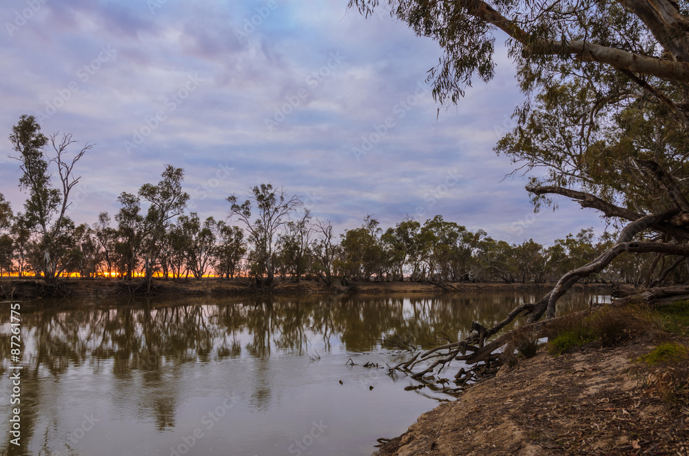 Obraz premium Tranquil Australian river at dawn