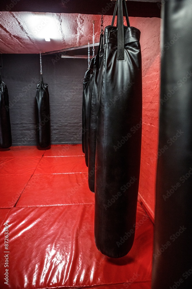Punching bags in red boxing area