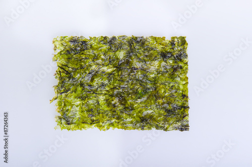 Marine algae close up macro isolated on white background