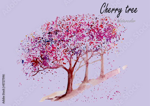 Cherry trees.Hand drawn watercolor painting.Vector illustration,spring concept