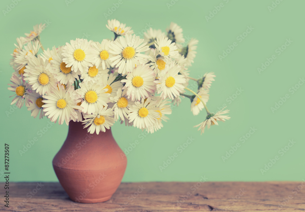 Retro daisies flower on an old wood Retro daisies flower on an old wood