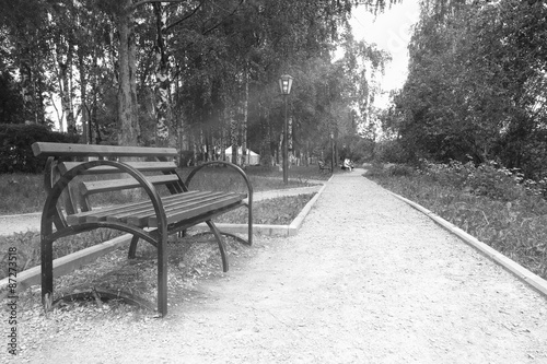 bench in the park