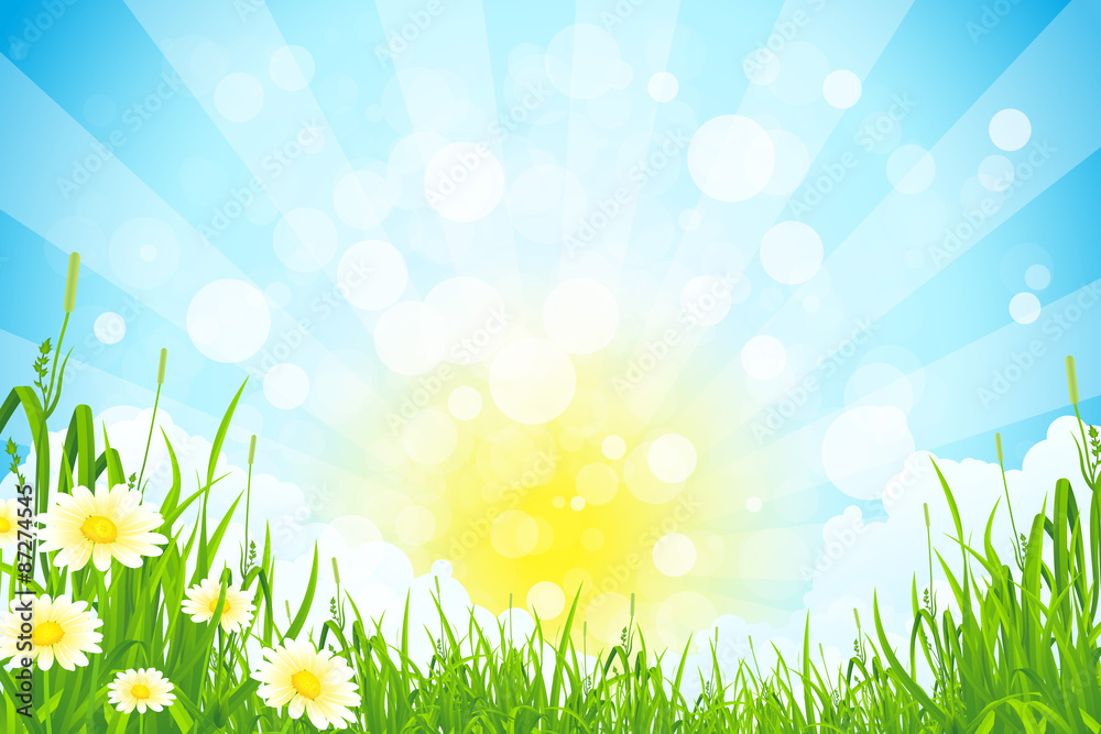 Fototapeta premium Green Summer Background