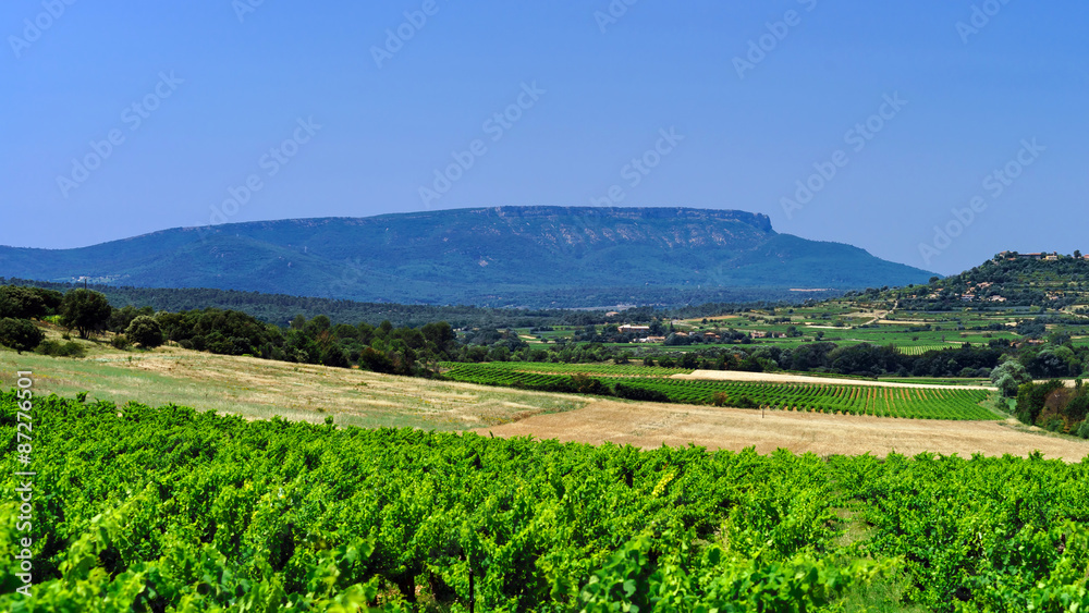 Beautiful view to vineyards in Provence Beautiful view to vineyards in Provence