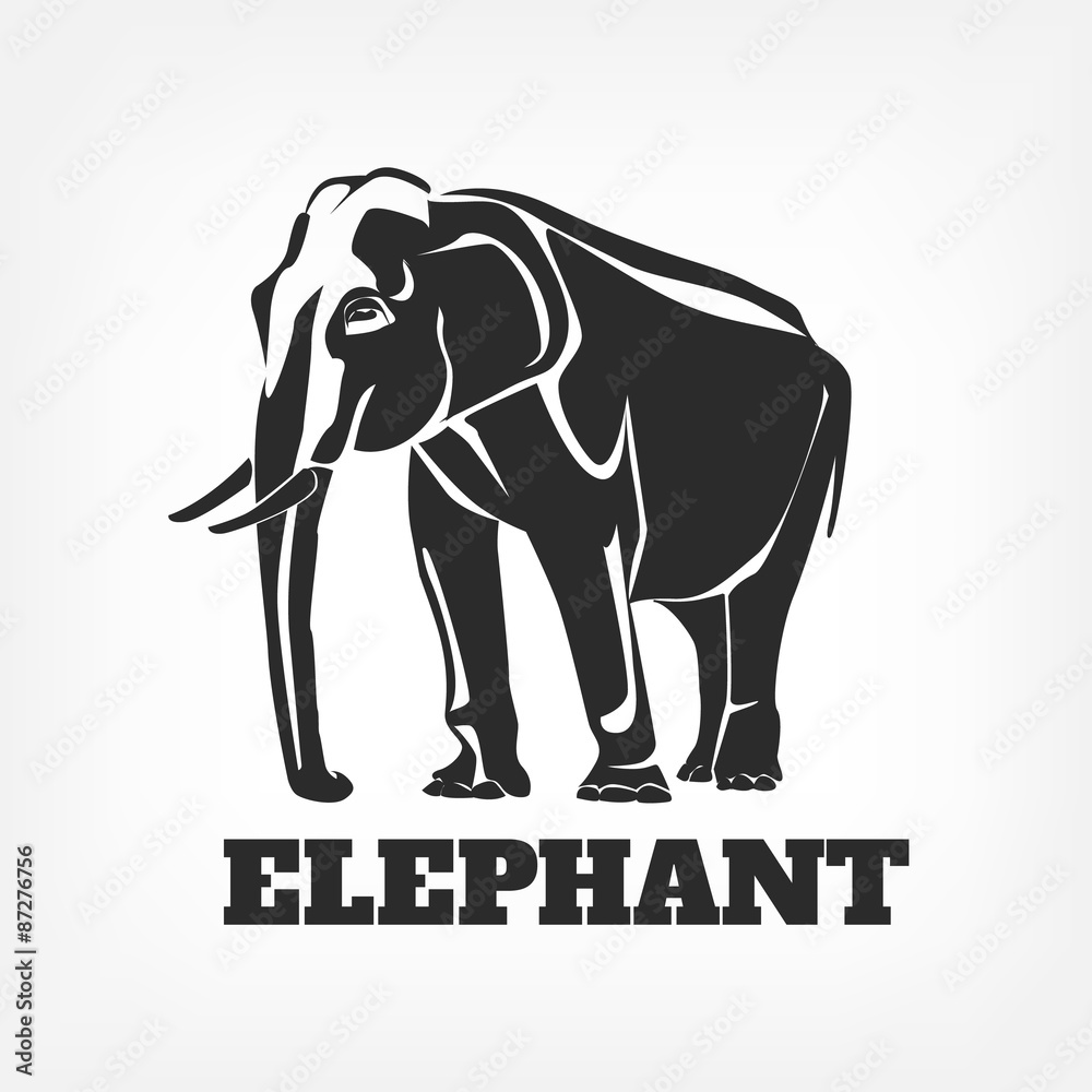 Obraz premium Elephant vector black illustration