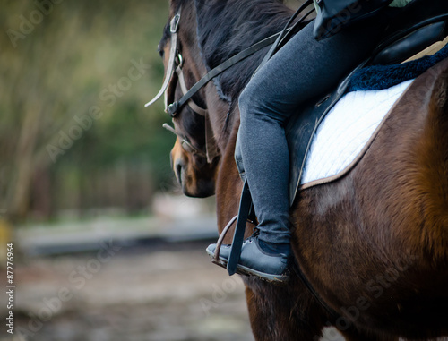 Fototapeta Naklejka Na Ścianę i Meble -  Rider on a horse