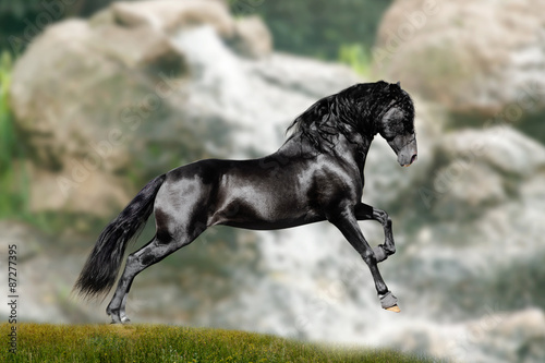 black stallion runs between mountains #87277395