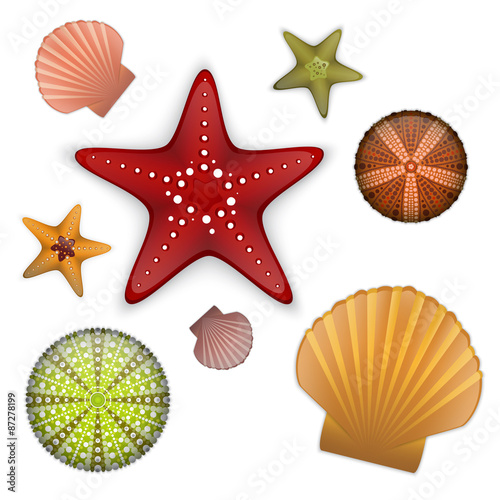 Sea life set
