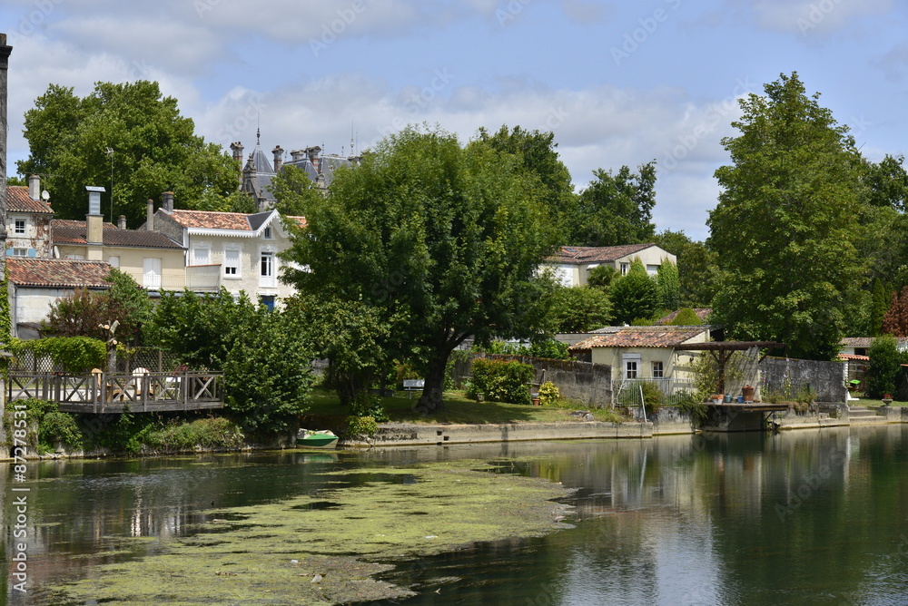 Algues à fleur d'eau dans la Charente devant un quartier élégant et résidentiel de Jarnac Algues à fleur d'eau dans la Charente devant un quartier élégant et résidentiel de Jarnac