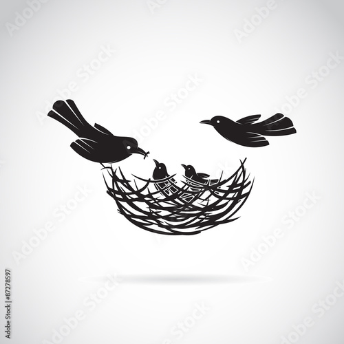 Vector image of an birds family in love on white background.