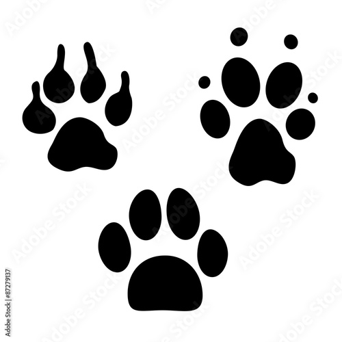 Dog footprints