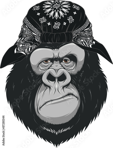 Happy monkey