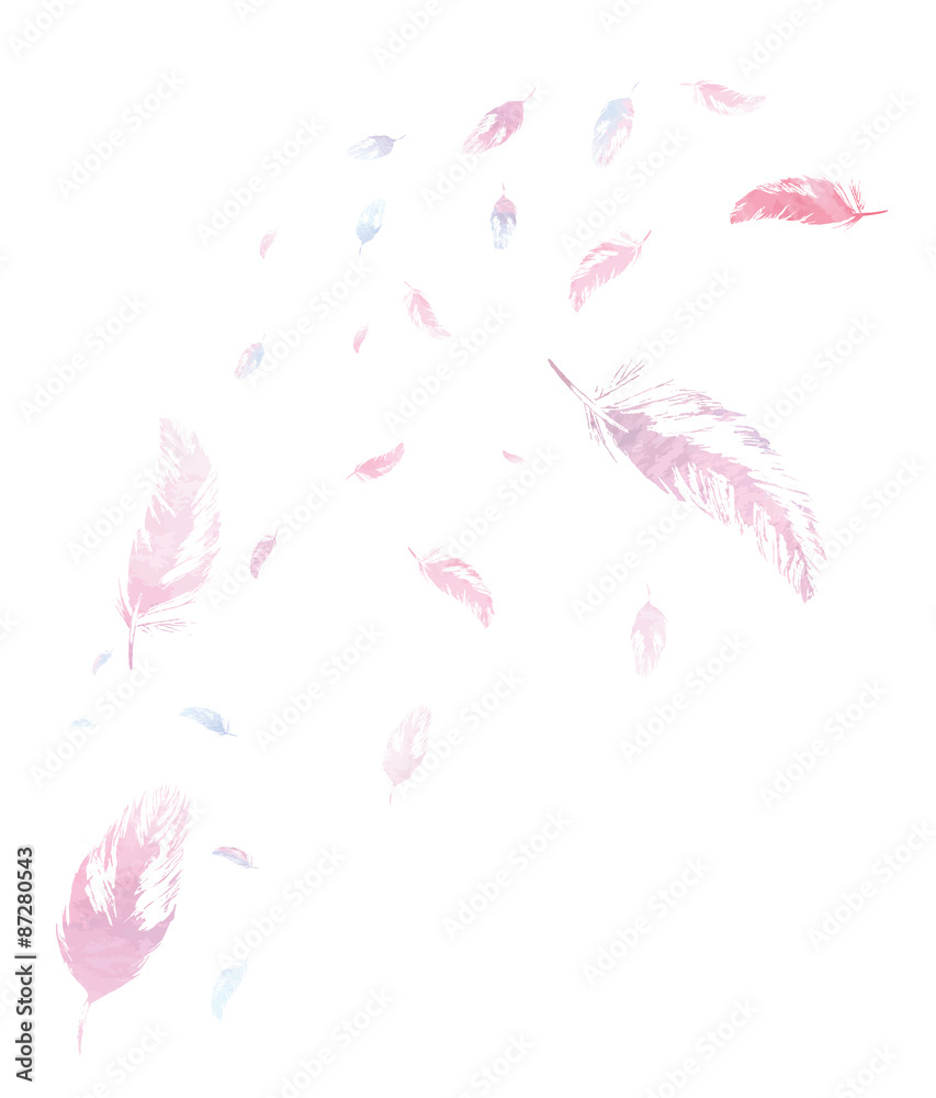 White background with watercolor pink and blue feathers White background with watercolor pink and blue feathers