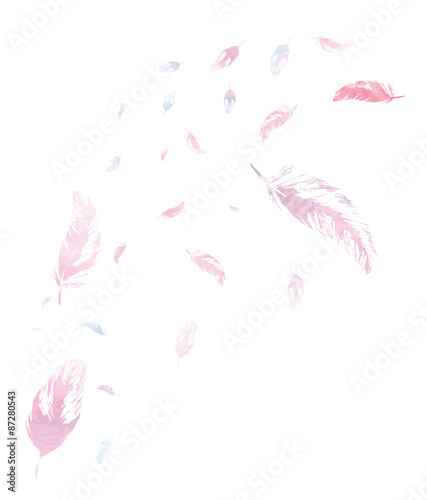 White background with watercolor pink and blue feathers