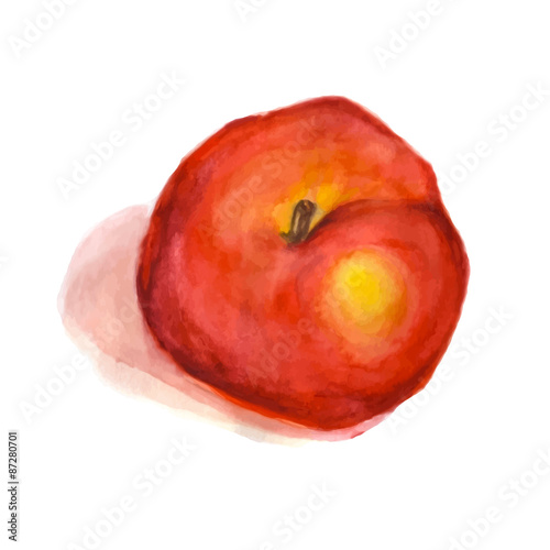 A watercolor red apple isolated on a white background