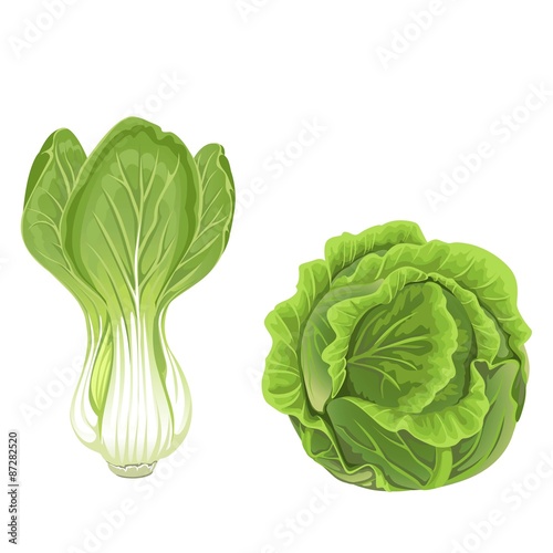 Head of green cabbage and lettuce