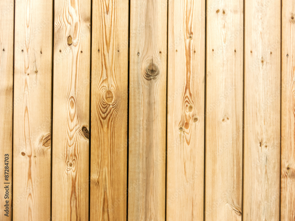 Fototapeta premium Unpainted wooden fence