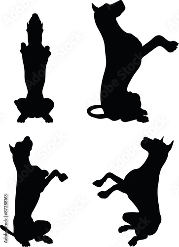 dog silhouette in beg pose