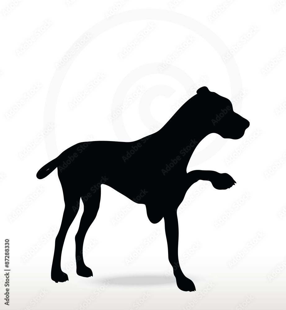 Fototapeta premium dog silhouette in shake hands pose