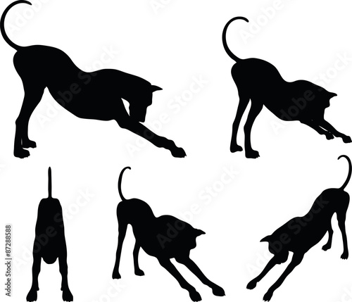  dog silhouette in stretch pose