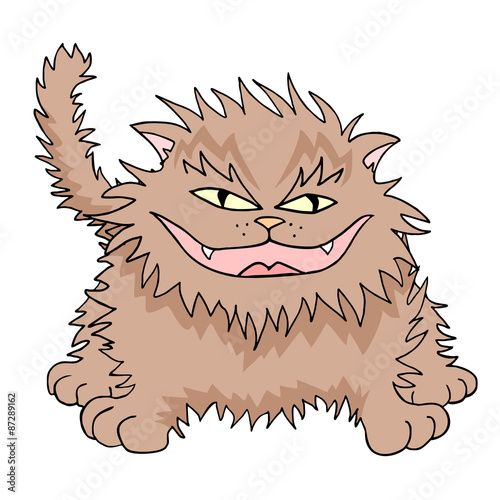 funny cat