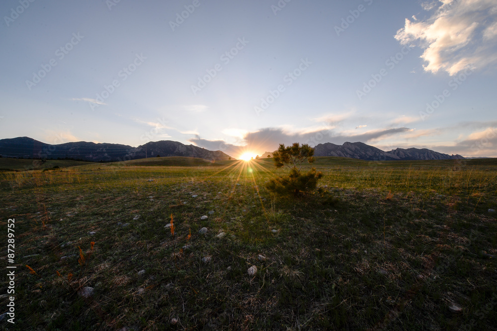 Fototapeta premium Sunset at grassy field