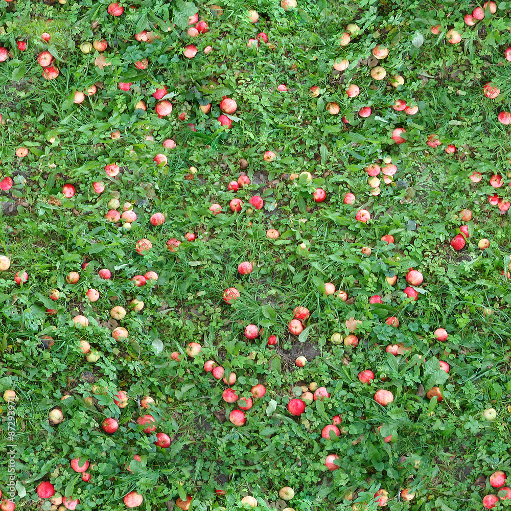 Square seamless texture of the grass with apples.