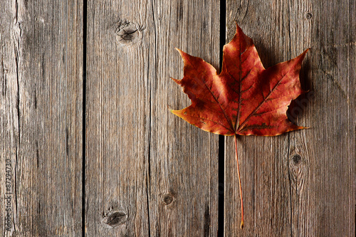 Autumn maple leaf over wooden background